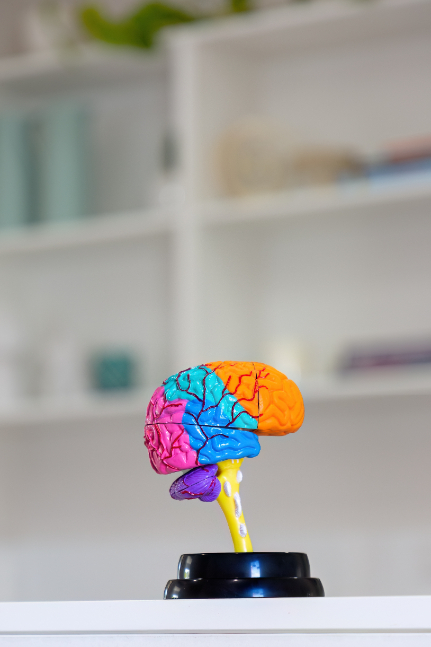 Neuropsychology Intervention Programmes